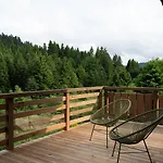 Forest Lodge, A Luxury With Sauna And Jacuzzi 木屋