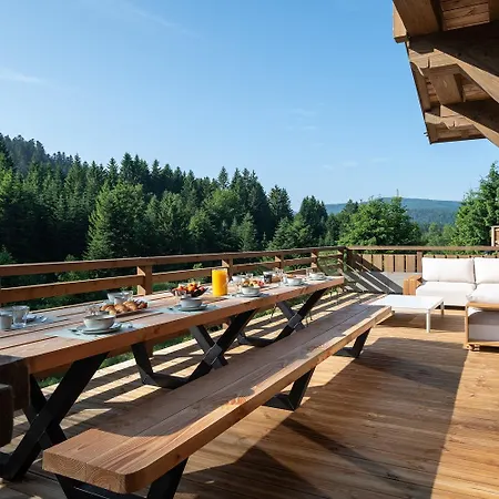 Forest Lodge, A Luxury With Sauna And Jacuzzi Chalet Xonrupt-Longemer