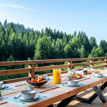 Forest Lodge, A Luxury With Sauna And Jacuzzi Xonrupt-Longemer