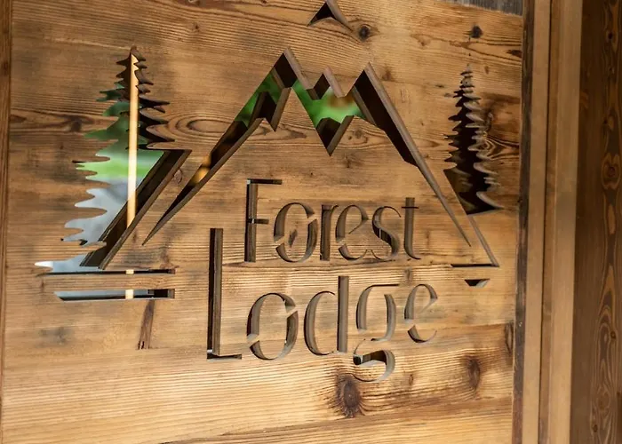 Forest Lodge, A Luxury With Sauna And Jacuzzi Xonrupt-Longemer